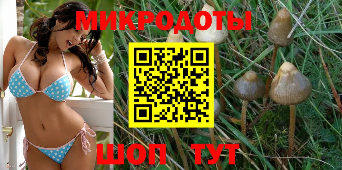 Галлюциногенные грибы Psilocybine cubensis Бор