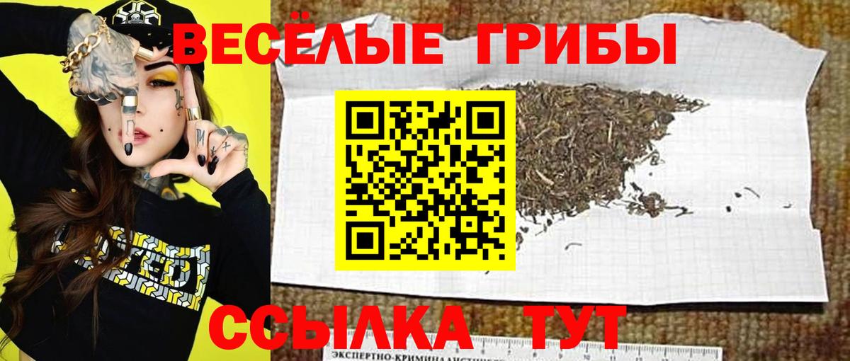 наркошоп  Вход с VPN  Псилоцибиновые грибы прущие грибы  Бор  Галлюциногенные грибы мицелий 